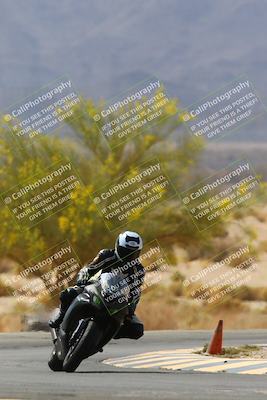 media/Apr-10-2022-SoCal Trackdays (Sun) [[f104b12566]]/Turn 5 Tree of Life (1040am)/